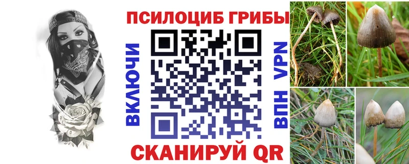 продажа наркотиков  MEGA как зайти  Псилоцибиновые грибы MAGIC MUSHROOMS  Алапаевск 